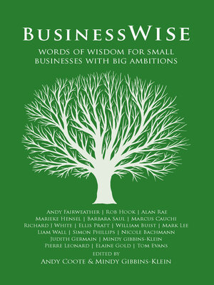 cover image of BusinessWise: Words of Wisdom for Small Businesses with Big Ambitions
